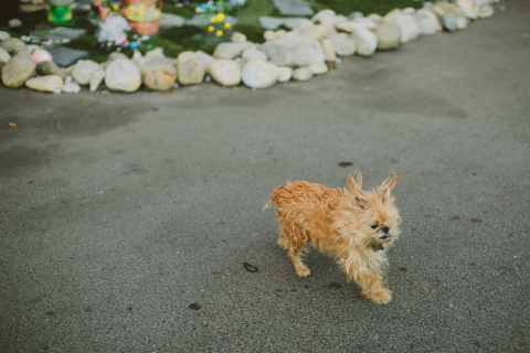Los Angeles Art District Engagement Photographer