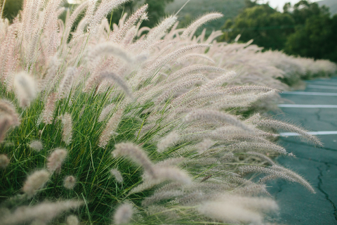 Los Angeles Engagement Photographer