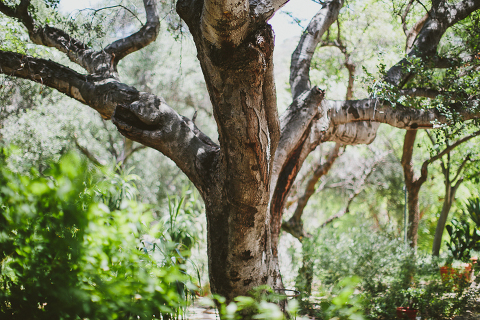 Tuscan Villa Wedding-11