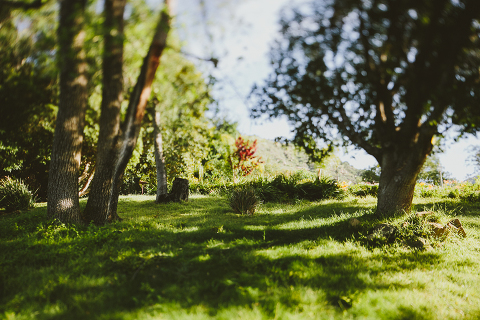 Tuscan Villa Wedding-13