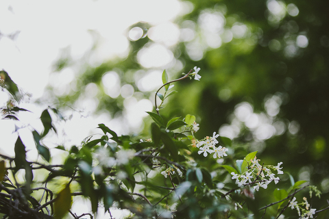Tuscan Villa Wedding-2